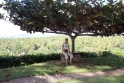 Caroline in the shade, Bali Tirtagangga Indonesia